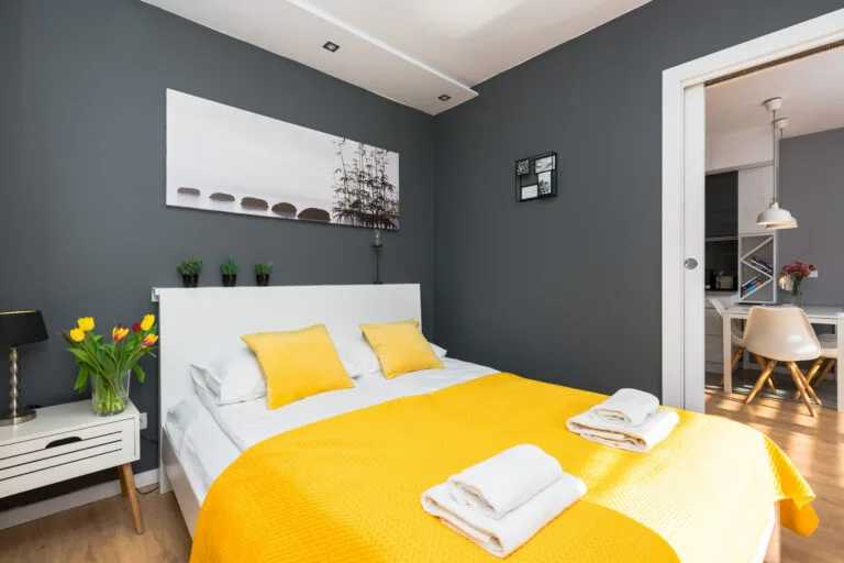 Sunny one-bedroom Deluxe apartment – photo 4