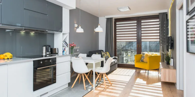 Sunny one-bedroom Deluxe apartment